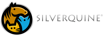 Silver Quine Coupons and Promo Code